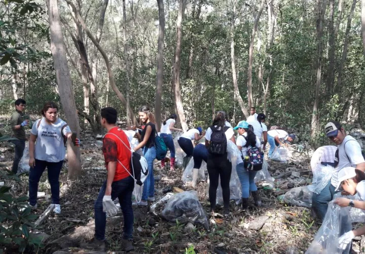 Jóvenes limpian la playa cercana a Panamá la Vieja. 