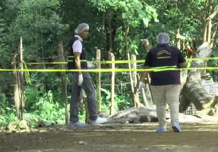 Unidades policiales dieron con la captura del presunto homicida de Alberto  Bejerano, de 83 años.