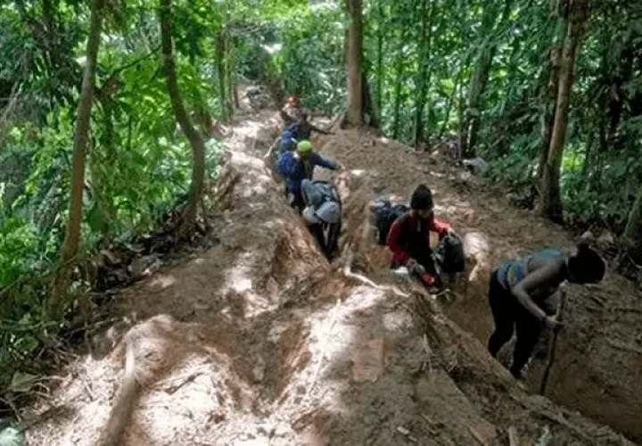 Más migrantes sigue cruzando la peligrosa selva de Darién.