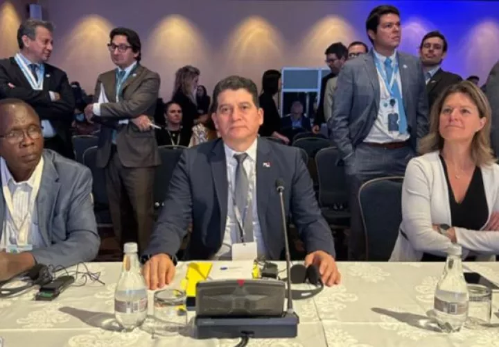 El Viceministro de Desarrollo Agropecuario, Alexis Pineda Miranda, participa en representación de Panamá .