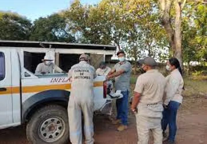 Personal de Control de Vectores en jornada de inspección en casas.