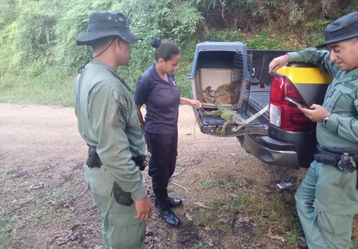 La Policía Ambiental mantiene vigilancia en áreas protegidas.