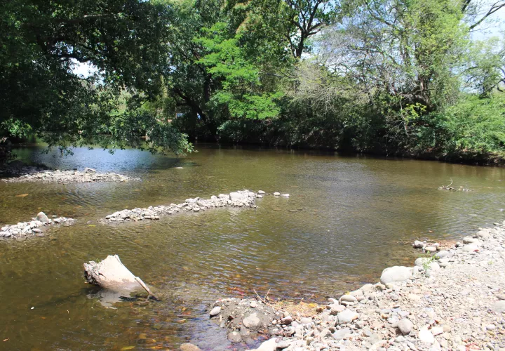 Bajo nivel de caudal del río.