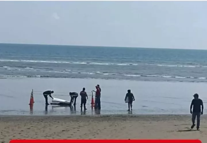 Escena del fatal hecho en una de las playas de Guararé.  (Foto: Soy Guarareño)